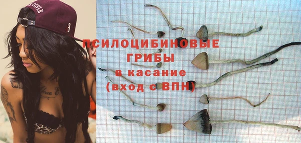 mdpv Ачинск
