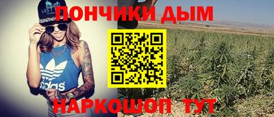 гашик Абинск