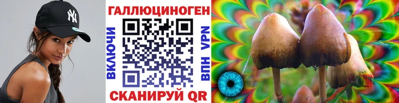 Псилоцибиновые грибы Psilocybine cubensis  наркотики  Добрянка 