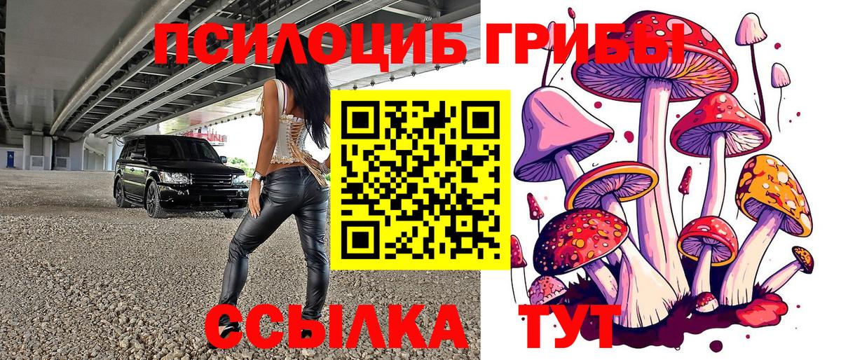 Галлюциногенные грибы мицелий  купить закладку  Псилоцибиновые грибы мицелий  Добрянка 