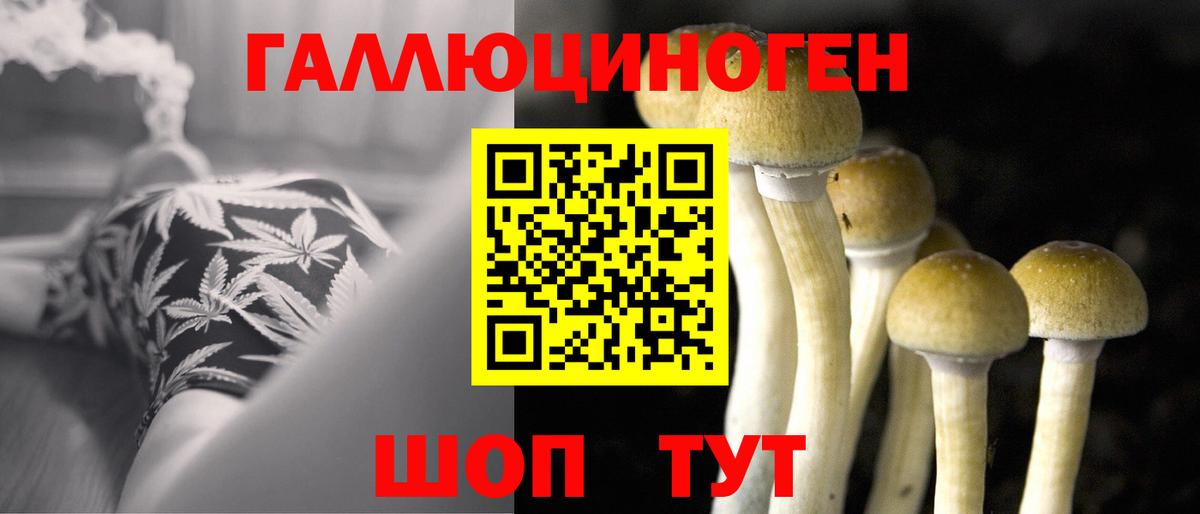 Псилоцибиновые грибы ЛСД Добрянка